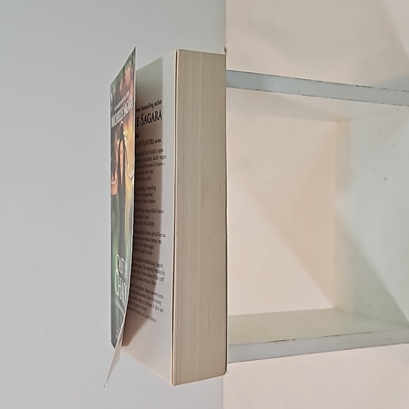 Luna Book CAST IN CHAOS THE chronicles of Elantra Michelle Sagara 2010 Paperback - Picture 9 of 17